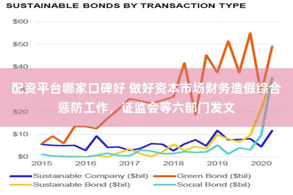 配资平台哪家口碑好 做好资本市场财务造假综合惩防工作，证监会等六部门发文