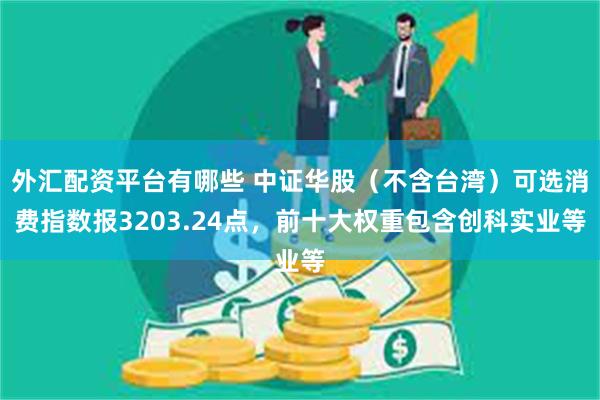 外汇配资平台有哪些 中证华股（不含台湾）可选消费指数报3203.24点，前十大权重包含创科实业等