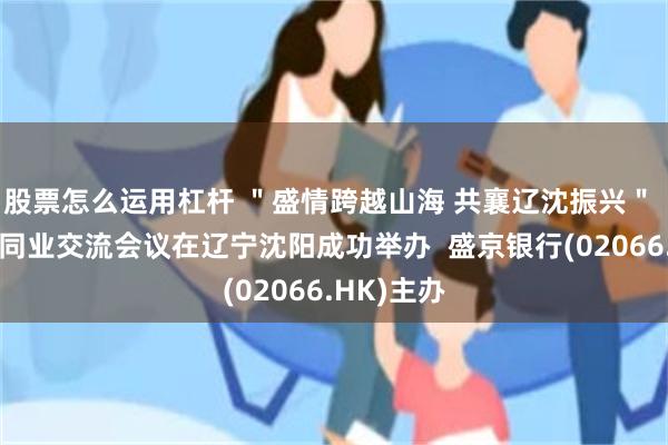 股票怎么运用杠杆 ＂盛情跨越山海 共襄辽沈振兴＂ 全国金融同业交流会议在辽宁沈阳成功举办  盛京银行(02066.HK)主办