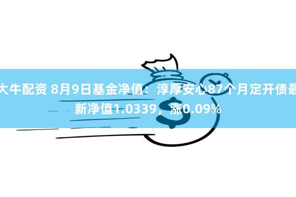 大牛配资 8月9日基金净值：淳厚安心87个月定开债最新净值1.0339，涨0.09%