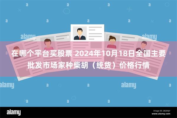 在哪个平台买股票 2024年10月18日全国主要批发市场家种柴胡（统货）价格行情