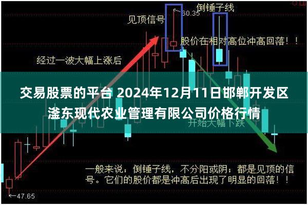 交易股票的平台 2024年12月11日邯郸开发区滏东现代农业管理有限公司价格行情