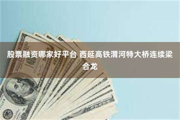 股票融资哪家好平台 西延高铁渭河特大桥连续梁合龙