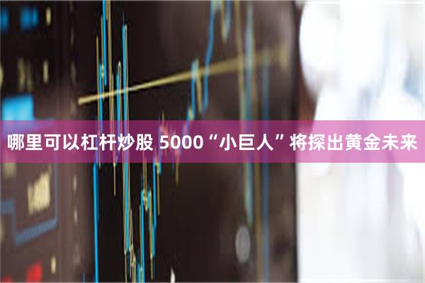 哪里可以杠杆炒股 5000“小巨人”将探出黄金未来