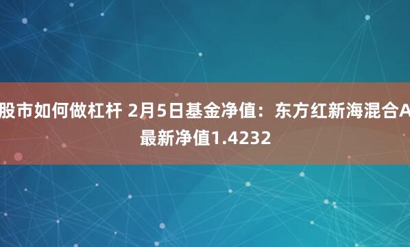 股市如何做杠杆 2月5日基金净值：东方红新海混合A最新净值1.4232