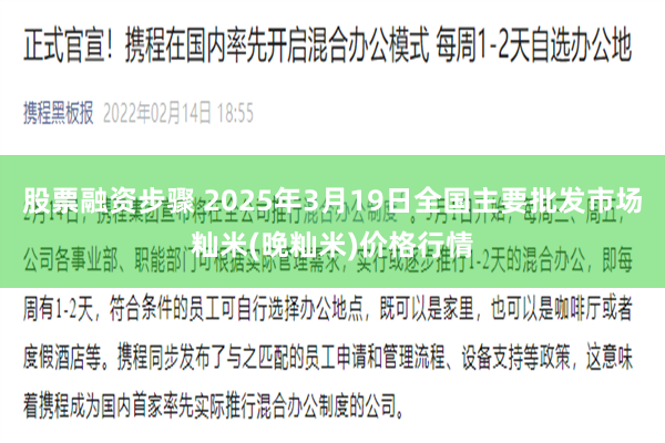 股票融资步骤 2025年3月19日全国主要批发市场籼米(晚籼米)价格行情